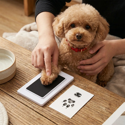 Pet Paw & Nose Print Kit