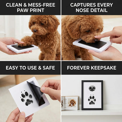 Pet Paw & Nose Print Kit