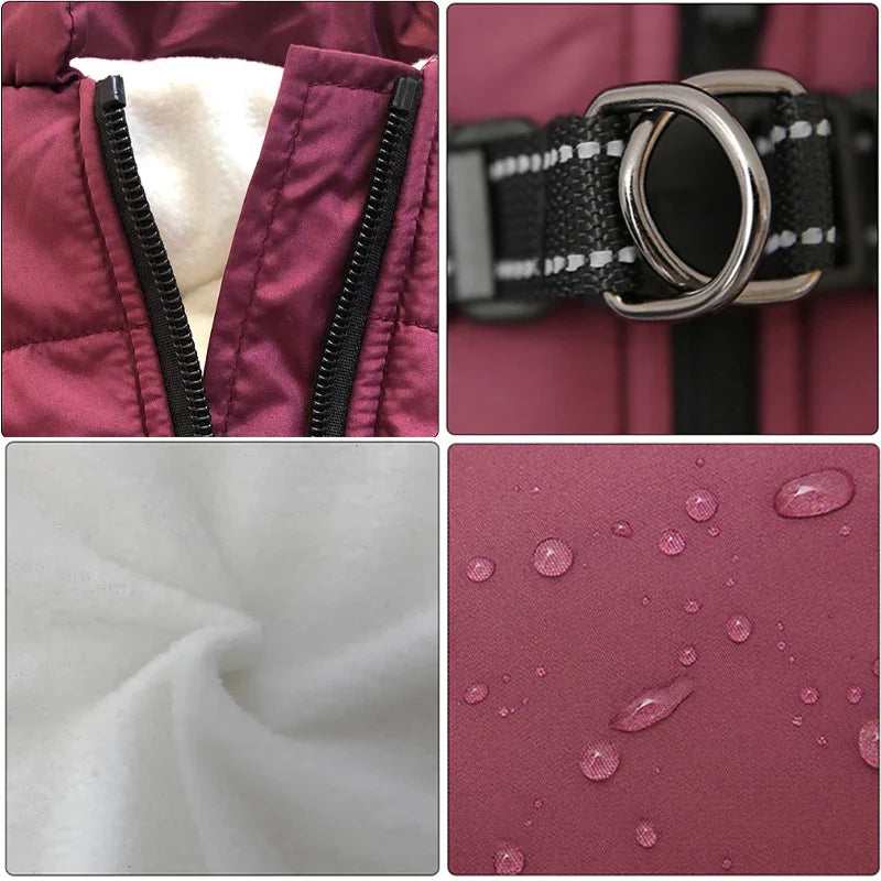 3 in 1 Winter Jacket