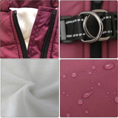 3 in 1 Winter Jacket