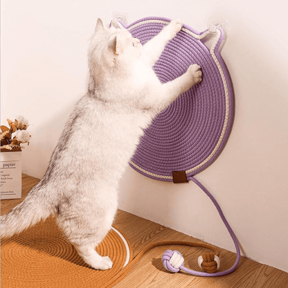 Kitten scratching the wall-mounted mat