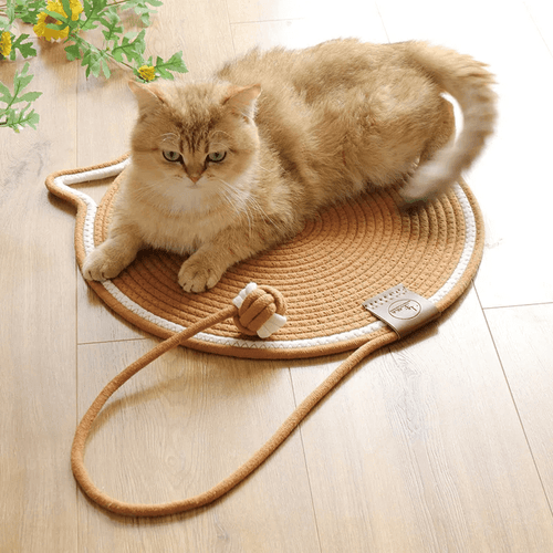 Cat resting on the CutyPet scratch mat