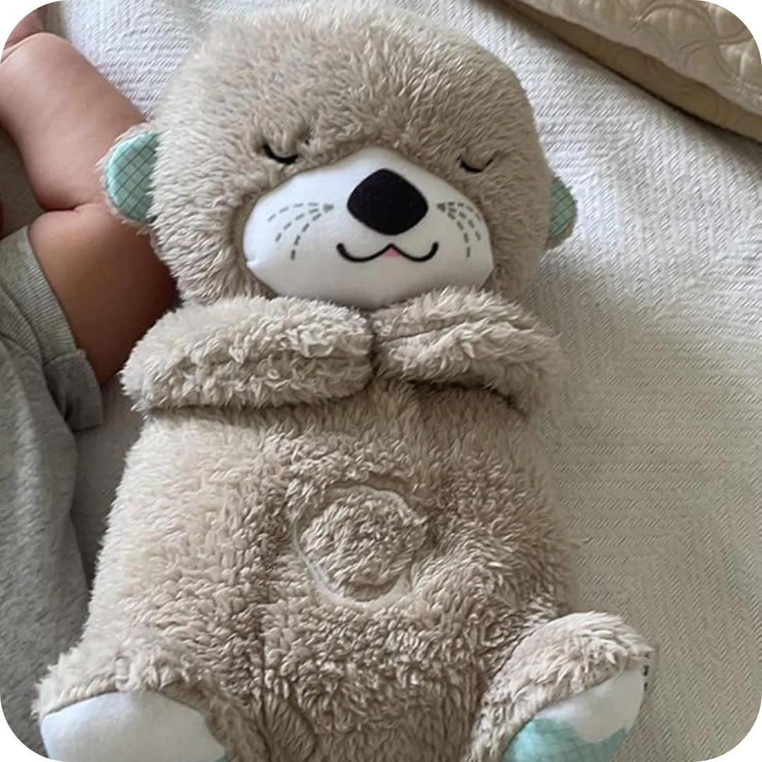 Calming Breathing Otter