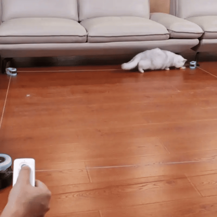Thank you GIF