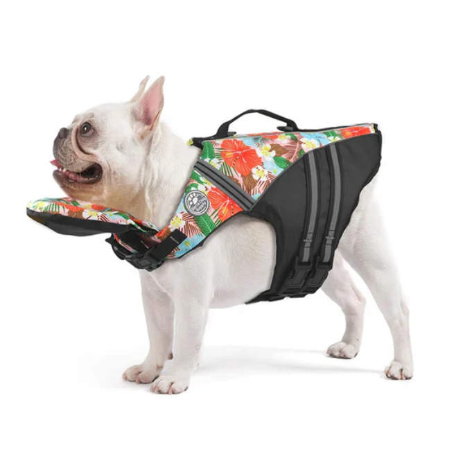Dog swimming with FloatPaws life jacket