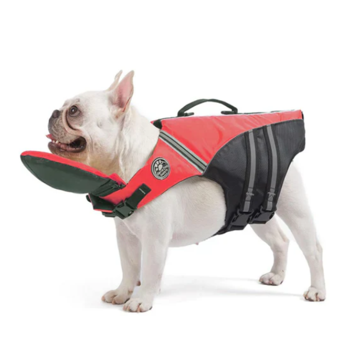 FloatPaws lifestyle
