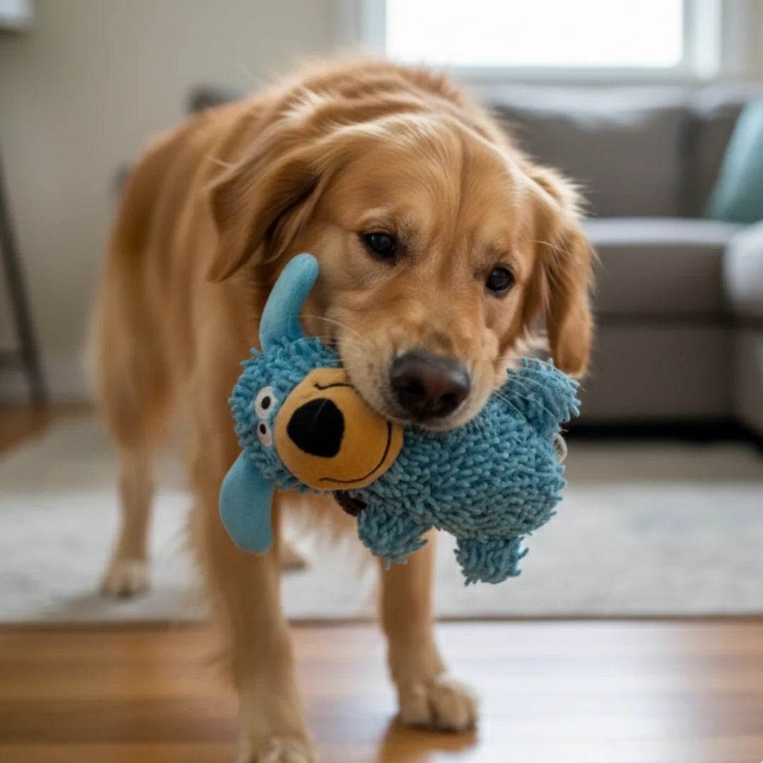 Squeaky Tooth Cleaning Toy