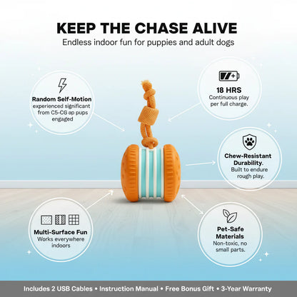 TailChase - Interactive Dog Toy