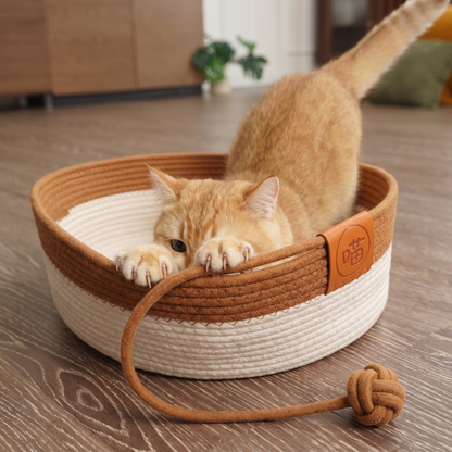 Cat gripping the rim of the Claw Basket with both front paws and dragging its claws down the rope