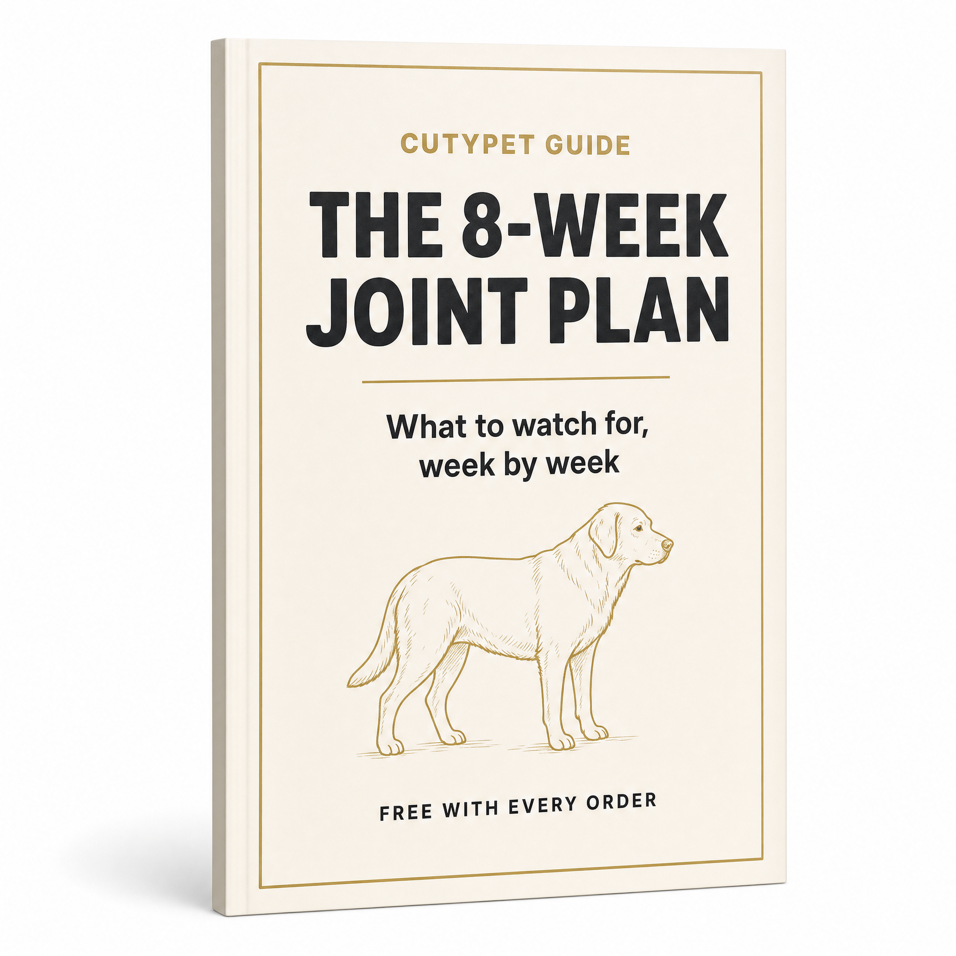 The 8-Week Joint Plan — free digital guide