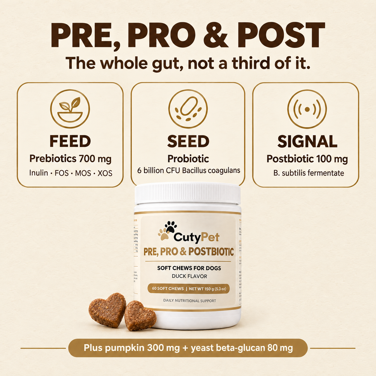 Feed, seed, signal: four prebiotics 700 mg, 6 billion CFU Bacillus coagulans and a 100 mg postbiotic