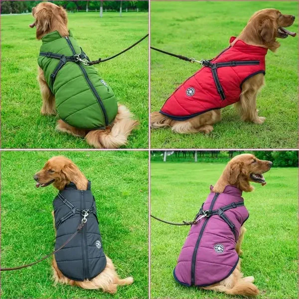 3 in 1 Winter Jacket