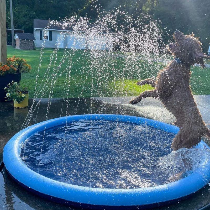 CutySplash™